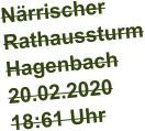 Närrischer Rathaussturm Hagenbach 20.02.2020 18:61 Uhr